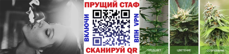Как найти наркотики Жуковка гидра ССЫЛКА  Каннабис  Мефедрон  ГАШ  Псилоцибиновые грибы 
